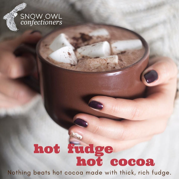 Hot Fudge Hot Cocoa!